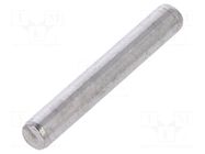 Cylindrical stud; stainless steel; BN 684; Ø: 3mm; L: 20mm; DIN 7 BOSSARD