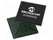 IC: ARM microprocessor; ARM926; 1.02÷1.21VDC; TFBGA228; 68kBSRAM MICROCHIP TECHNOLOGY