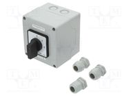 Switch: cam switch; Stabl.pos: 3; 100A; 0-Y-Δ; flush mounting; IP65 SPAMEL