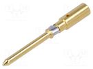 Contact; male; copper alloy; gold-plated; 2.5mm2; 14AWG; bulk; 10A DEGSON ELECTRONICS