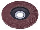 Flap grinding wheels; Ø: 125mm; Øhole: 22.2mm; Granularity: 80 PROLINE