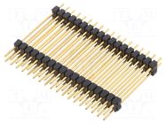 Connector: pin strips; pin header; male; PIN: 36; THT; 3A; 250V; SL 6 FISCHER ELEKTRONIK