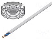 Wire; YDY; 4G2.5mm2; round; wire; Cu; PVC; white; 450V,750V; 100m 