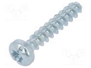 Screw; for plastic; 2.5x16; Head: cheese head; slotted,Torx®; zinc 