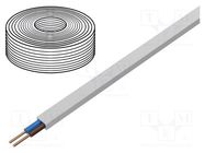 Wire; YDY; 2x2.5mm2; flat; solid; Cu; PVC; white; 450V,750V; 100m 