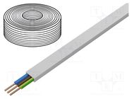Wire; YDY; 3G4mm2; flat; solid; Cu; PVC; white; 450V,750V; 100m 