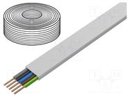 Wire; YDY; 5G2.5mm2; flat; solid; Cu; PVC; white; 450V,750V; 100m 