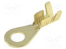 Tip: ring; M4; 1÷2.5mm2; crimped; for cable; straight; none; brass IMP