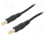 Cable; 2x0.5mm2; both sides,DC 5,5/2,1 plug; straight; black; 1m SUNNY