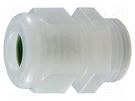 Cable gland; M32; IP68; PVDF; natural; HSK-K-PVDF HUMMEL