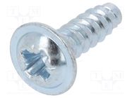 Screw; for plastic; with flange; 4.2x9.5; Head: button; Phillips BOSSARD