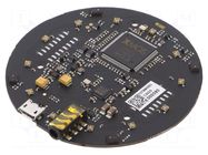 Dev.kit: evaluation; for audio application development SEEED STUDIO