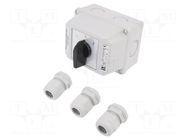 Switch: cam switch; Stabl.pos: 3; 16A; L-0-P; flush mounting; Pos: 3 SPAMEL