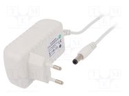 Power supply: switching; mains,plug; 12VDC; 1A; 12W; Plug: EU; white POS