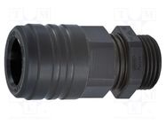 Straight terminal connector; Thread: PG,outside; polyamide; IP68 