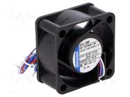 Fan: DC; axial; 24VDC; 40x40x20mm; 14.5m3/h; 31dBA; slide; 8100rpm EBM-PAPST