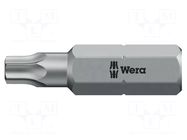 Screwdriver bit; Torx®; TX03; 1/4"; Overall len: 25mm WERA