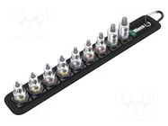 Wrench-set; socket bits,Torx®; Mounting: 3/8"; 35mm WERA