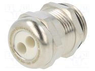 Cable gland; multi-hole; M20; 1.5; IP68; brass; Holes no: 2; 5mm HUMMEL