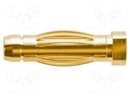 Plug; 4mm banana; 32A; 33VAC; 70VDC; 17.7mm; gold-plated; screw SCHÜTZINGER