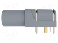 Connector: 4mm banana; socket; 24A; 1kV; grey; gold-plated; PCB SCHÜTZINGER