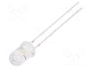 CRLED; white warm; 5mm; 8000mcd; 30°; Front: convex; 5.5÷20VDC OPTOSUPPLY