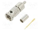Plug; Micro BNC; male; straight; 75Ω; soldering,crimped; for cable AMPHENOL RF