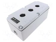 Enclosure: for remote controller; 22mm; IP65; X: 92mm; Y: 205mm ILME