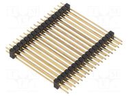 Connector: pin strips; pin header; male; PIN: 34; straight; THT FISCHER ELEKTRONIK