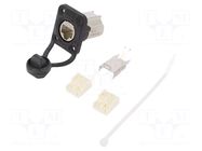 Connector: RJ45; socket; female; etherCON; PIN: 8; IDC; gold-plated NEUTRIK