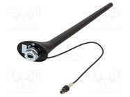 Antenna; car top; 0.2m; AM,FM; Audi,VW; with amplifier; 0.275m 4CARMEDIA