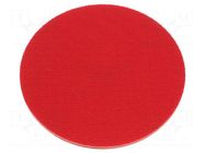 Backing pad; Ø: 125mm; Mounting: M14,rod 8mm; for abrasive discs PROLINE