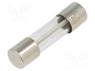 Fuse: fuse; time-lag; 3A; 250VAC; cylindrical,glass; 5x20mm; brass LITTELFUSE