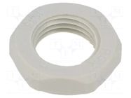Nut; Thread: PG; polyamide; PMAFIX MN; grey; 19mm; Thread: PG7 PMA