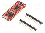 Dev.kit: Microchip PIC; Components: PIC18F16Q40; PIC18 MICROCHIP TECHNOLOGY