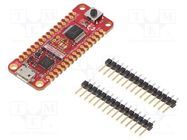 Dev.kit: Microchip PIC; Components: PIC18F16Q41; PIC18 MICROCHIP TECHNOLOGY