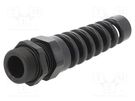 Cable gland; with strain relief; PG13,5; IP68; polyamide; black HUMMEL