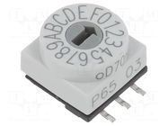 Encoding switch; HEX/BCD; Pos: 16; SMD; Rcont max: 80mΩ; P65 PTR HARTMANN