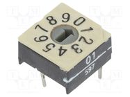 Encoding switch; DEC/BCD; Pos: 10; THT; Rcont max: 100mΩ; P60 