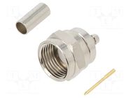 Connector: F; plug; male; straight; 75Ω; soldering,crimped; PTFE AMPHENOL RF