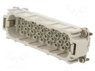 Connector: HDC; contact insert; male; 10A; 250V; PIN: 64; 64+PE AMPHENOL