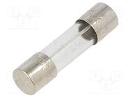 Fuse: fuse; time-lag; 500mA; 250VAC; cylindrical,glass; 5x20mm LITTELFUSE