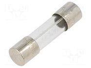 Fuse: fuse; 500mA; 250VAC; time-lag; cylindrical,glass; 5x20mm; 218 LITTELFUSE