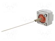 Driving head; spring; 10÷120°C; metal TELEMECANIQUE SENSORS