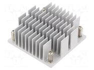 Cooling module; GENE APL; heatsink AAEON