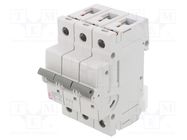 Circuit breaker; 230/400VAC; Inom: 25A; Poles: 3; Charact: B; 10kA ETI POLAM