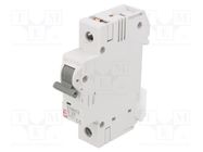 Circuit breaker; 230/400VAC; Inom: 25A; Poles: 1; Charact: D; 6kA ETI POLAM