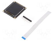 Display: TFT; 1.54"; 240x240; 27.72x27.72mm; Interface: GDI,SPI DFROBOT