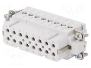 Connector: HDC; contact insert; female; C146,heavy|mate; PIN: 16 AMPHENOL