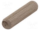 Assembly stud; wood (beech); Ø: 10mm; L: 40mm; 30pcs. WOLFCRAFT